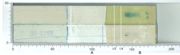 Blanco et al 2022a-image23-c.jpeg
