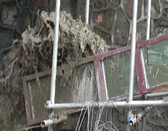 Yu et al 2023a-image14-c.png