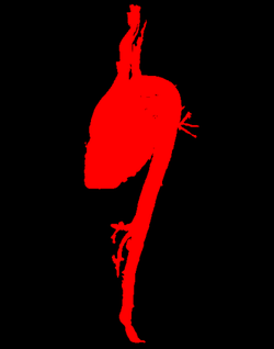 Draft Samper 526155048-image56.png