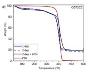 Draft Sanchez Soto 190797733 2386 Option B Fig.2a-JPG.jpg