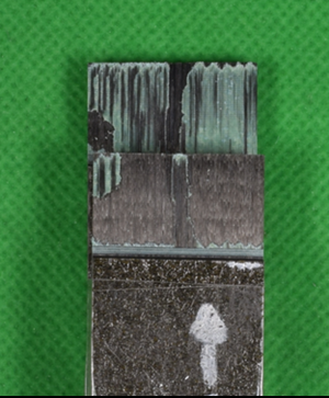 Caamano et al 2017a-image23.png