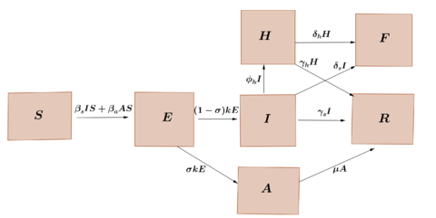 Transference diagram for the proposed COVID-19 model.