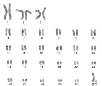 Draft BELTRAN URREGO 123847636-image6.jpeg