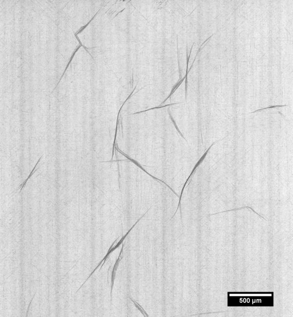 Delgado et al 2021a-image11.jpeg