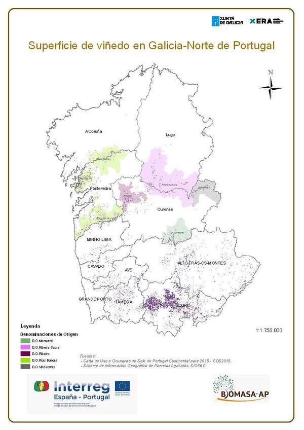 Draft Compuestos 598303311-image7.jpeg