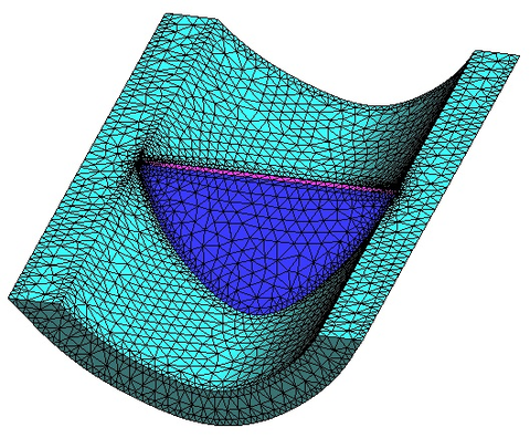 Dam mesh using tetrahedral elements