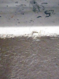 Draft Samper 457984204-image265.jpeg