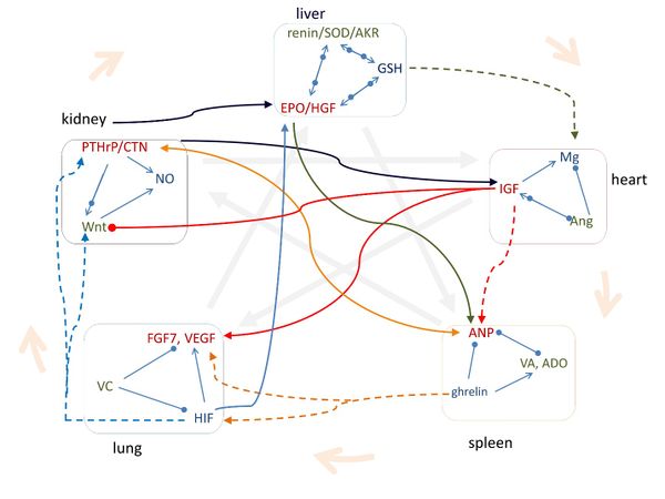 Draft Liu 252615742-image2.jpeg
