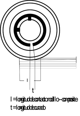 Draft Porcar 396429609-image15.png