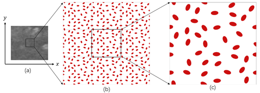 Draft lihong 849542190-image8.png