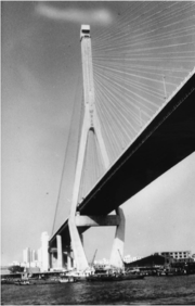 Draft Samper 432909089-monograph-image13.png