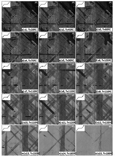 Torres et al 2021b-image16.png