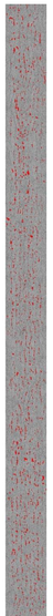 Ultrera et al 2017a-image24.png