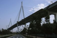 Draft Samper 432909089-monograph-image100.jpeg