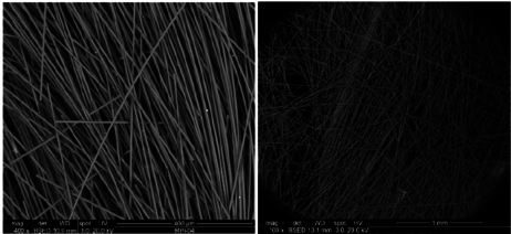 Draft Peinado 896599851-image5.png