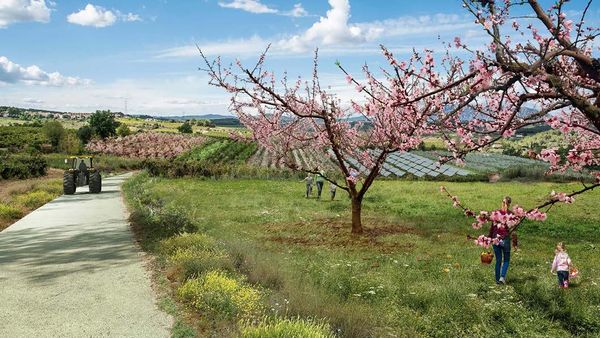 Draft Sanchez Pinedo 742635054-image82.jpeg