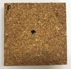 Draft Compuestos 476094261-image22.jpeg