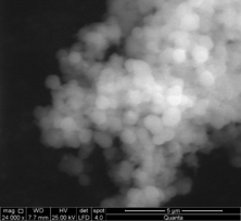 Izarra et al 2019a-image9.png