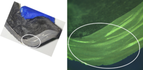 Draft Gomez Alonso 429480152-image14.png