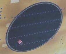 Nieto-Leon et al 2019a-image9.jpeg