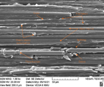 Review 824132888298-image57.png