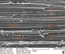 Review 824132888298-image57.png