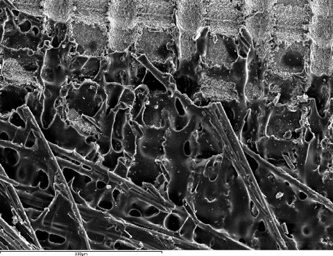 Draft Compuestos 644447635-image15.jpeg