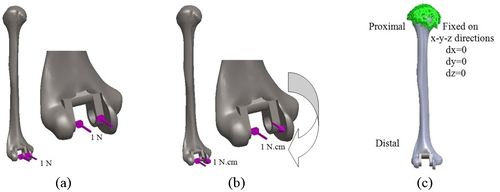 Review 392361619556 2082 16.jpg