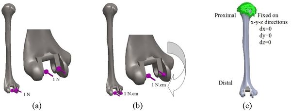 Review 392361619556 2082 16.jpg