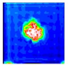 Riera et al 2017a-image6-c.jpeg