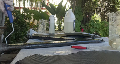 Jauregui et al 2019a-image53-c.png