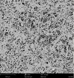 Franco et al 2022a-image9.jpeg