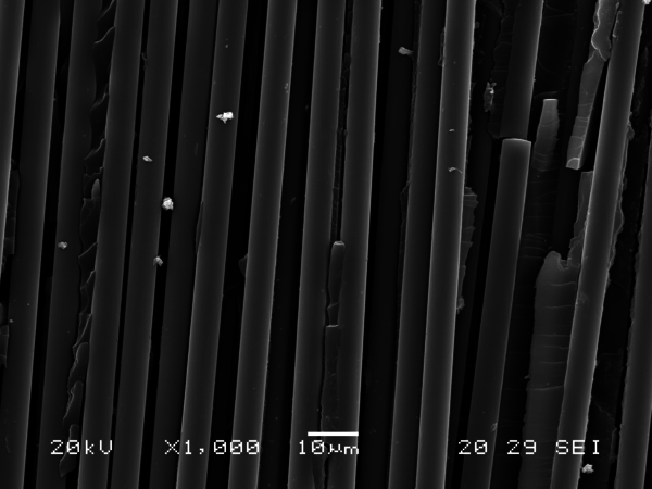 Olay et al 2021a-image11.png