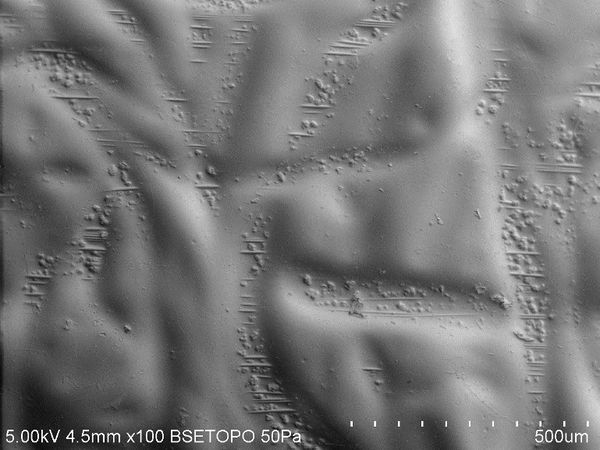 Botana-Galvin et al 2019a-image6.jpeg