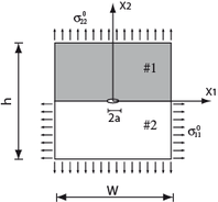 Draft Bouziane 473899494-image3.png