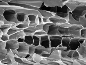 Review 844986827438-image1.jpg