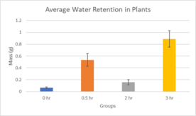 Review 855074334749-image10-c.png