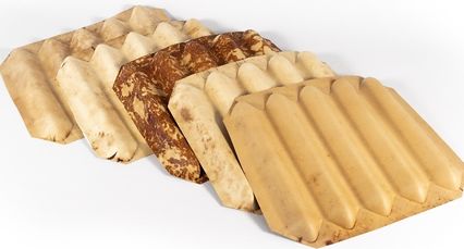 Franco et al 2022a-image24.jpeg