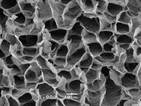 Review 844986827438-image2.jpg