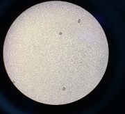 Draft Asenjo 177809197-image7-c.jpeg