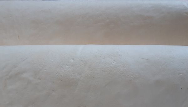 Franco et al 2022a-image7.jpeg