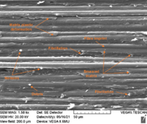 Review 824132888298-image58.png