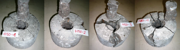 Specimens after the Shear test