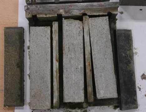 Izarra et al 2019a-image6-c.jpeg