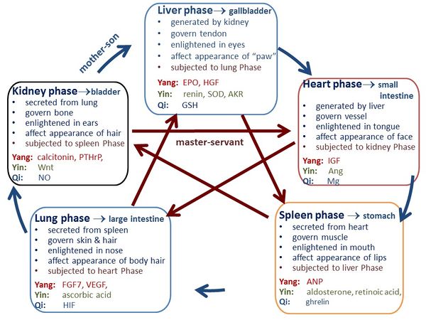 Draft Liu 419043296-image1.jpg