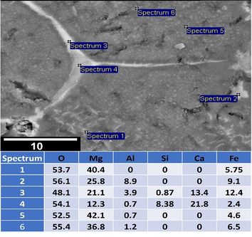 Draft Gomez Rodriguez 137607673-image3.jpeg