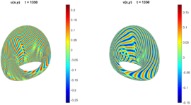 Concentrations at t = 0 and t =1350.