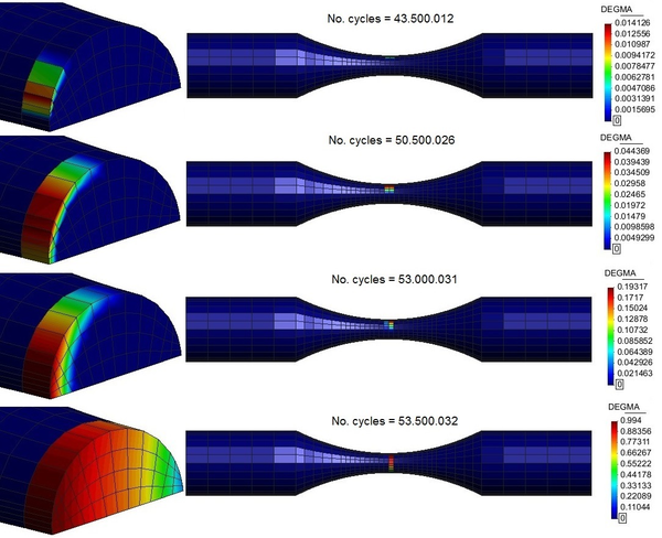 Damage evolution for a maximum induced stress of 350MPa and R =  -1
