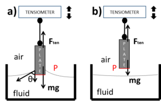 Draft Porcar 507359298-image7.png