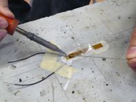 Draft Samper 184616083-image197.jpeg